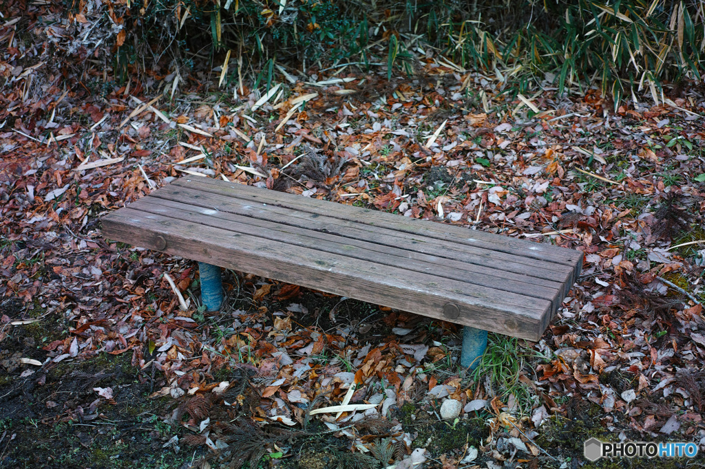 枯れ葉とベンチ