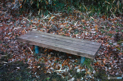 枯れ葉とベンチ