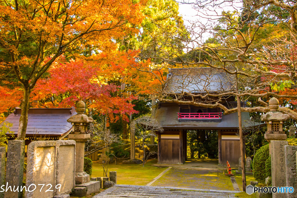 常隆寺の紅葉-6