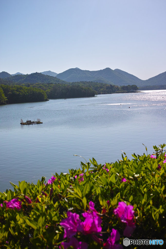 湖の朝