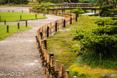 雨の兼六園-1