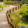 雨の兼六園-1