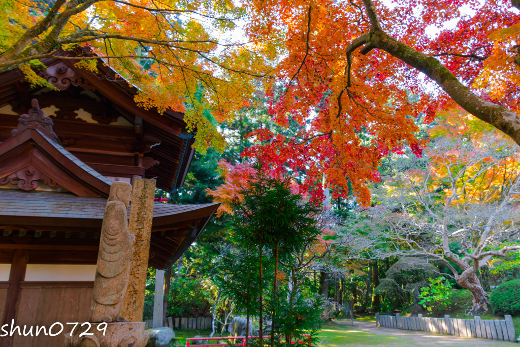 常隆寺の紅葉-2