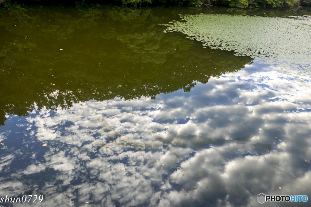 今日の空7