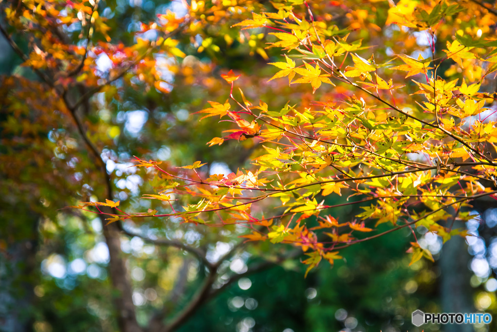 山寺の晩秋-2