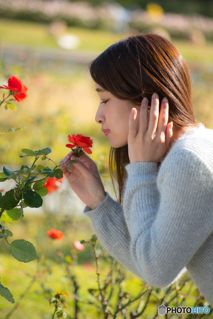 今年を振り返って－８