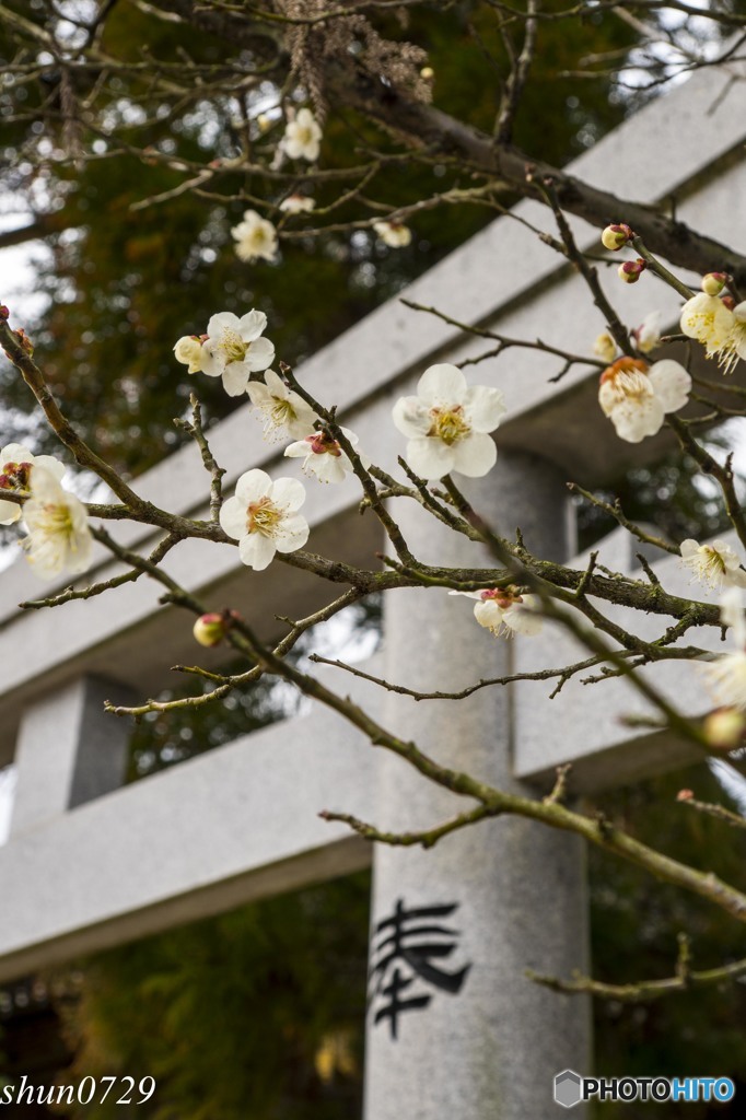 鳥居