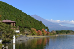 田貫湖紅葉と富士山