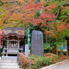 DSCF1704