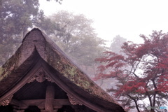 朝霧の総門と紅葉