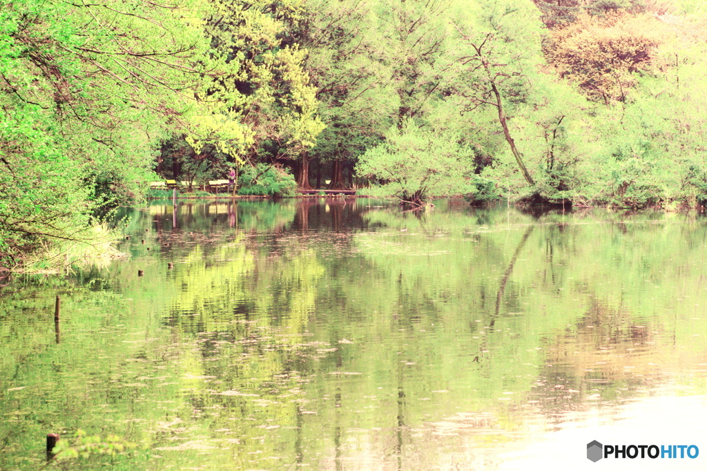 色づき始めた森