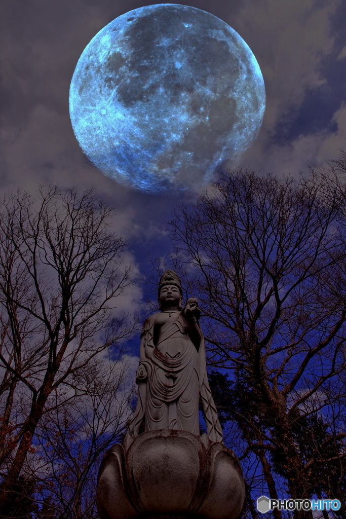 観音菩薩と月