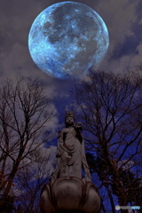観音菩薩と月
