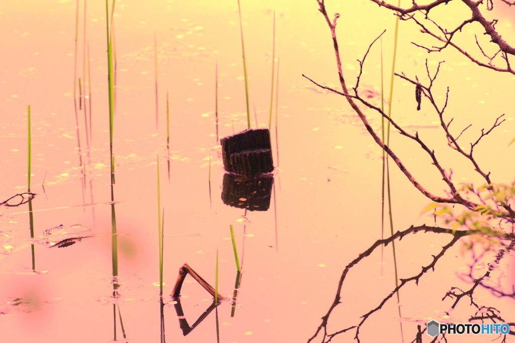 夕暮れのみず鏡