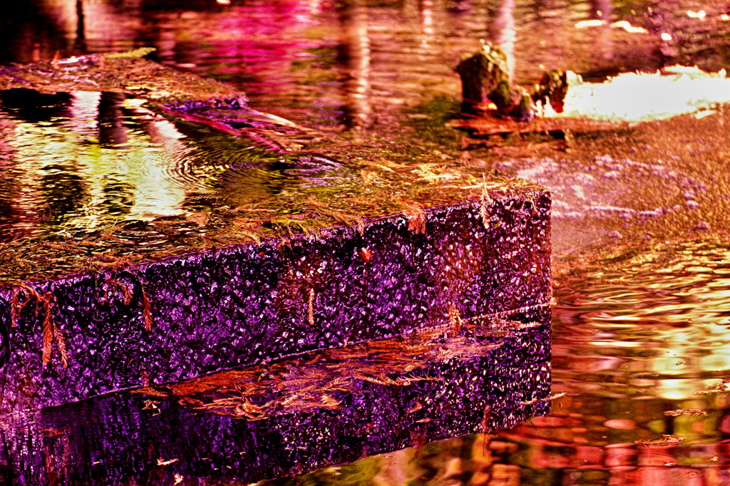 湧き水の秋化粧