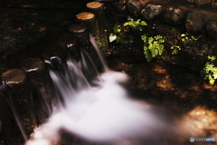 湧水の涼
