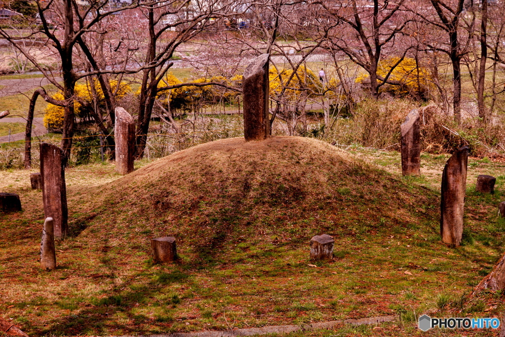 ストーンヘッジ入間