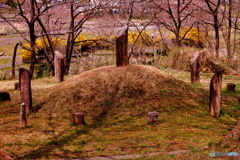 ストーンヘッジ入間