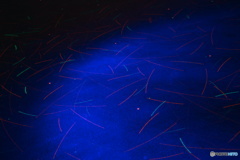 コスモマッピング（２）