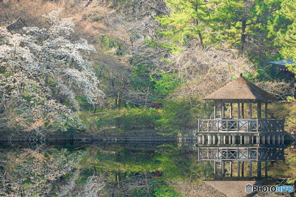 早春の三宝寺池