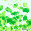 Fresh Green