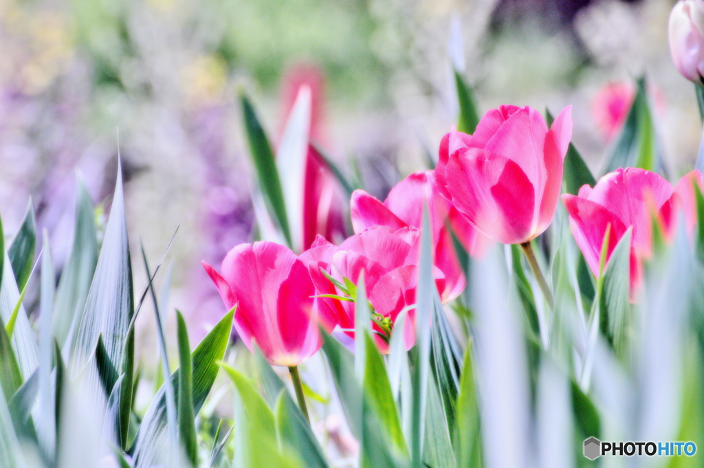 日差しを浴びて