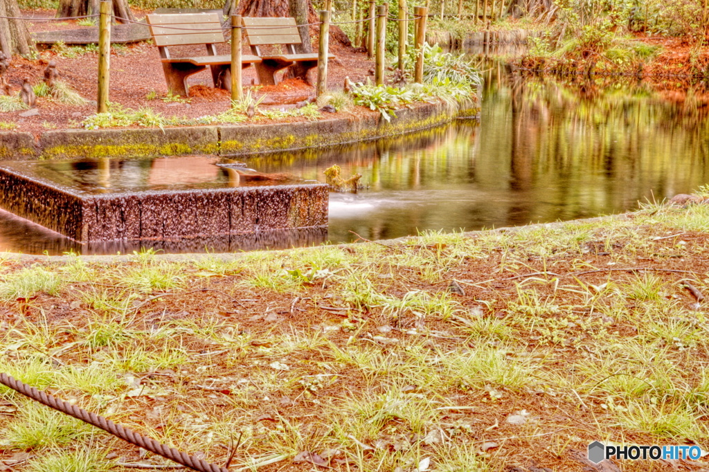 雨上がりの公園