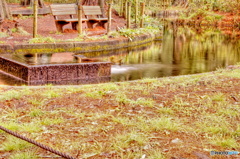 雨上がりの公園
