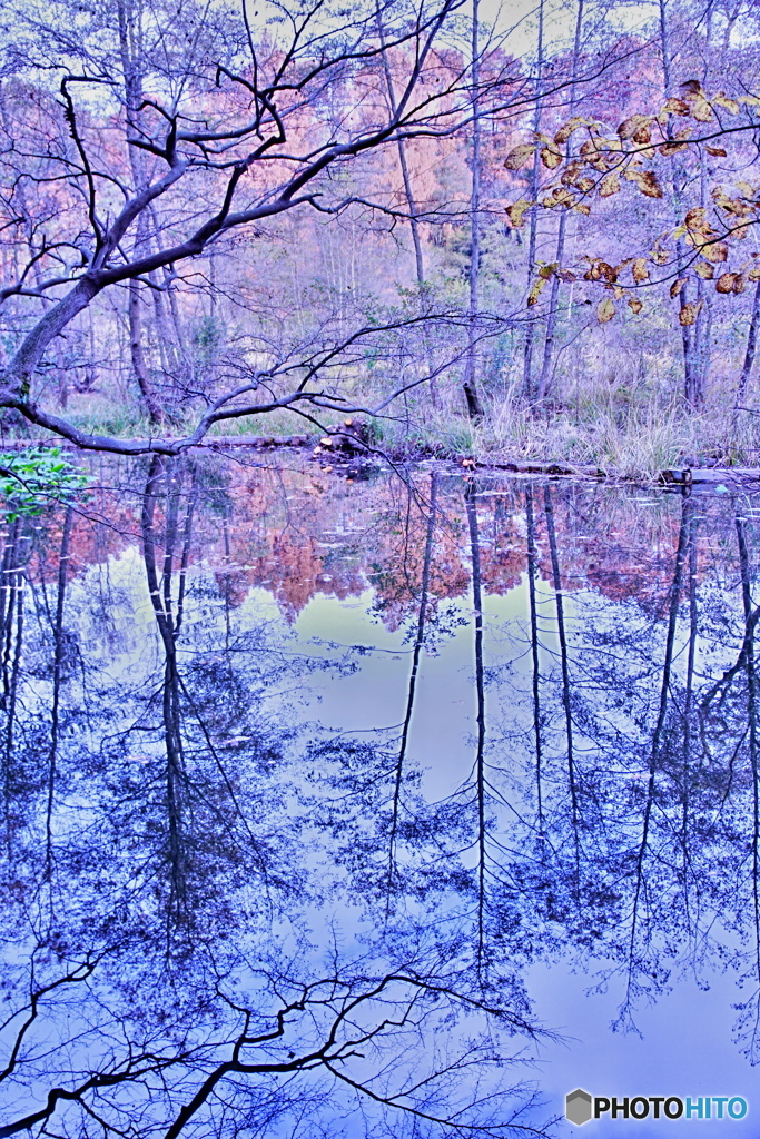 冬の映り込み