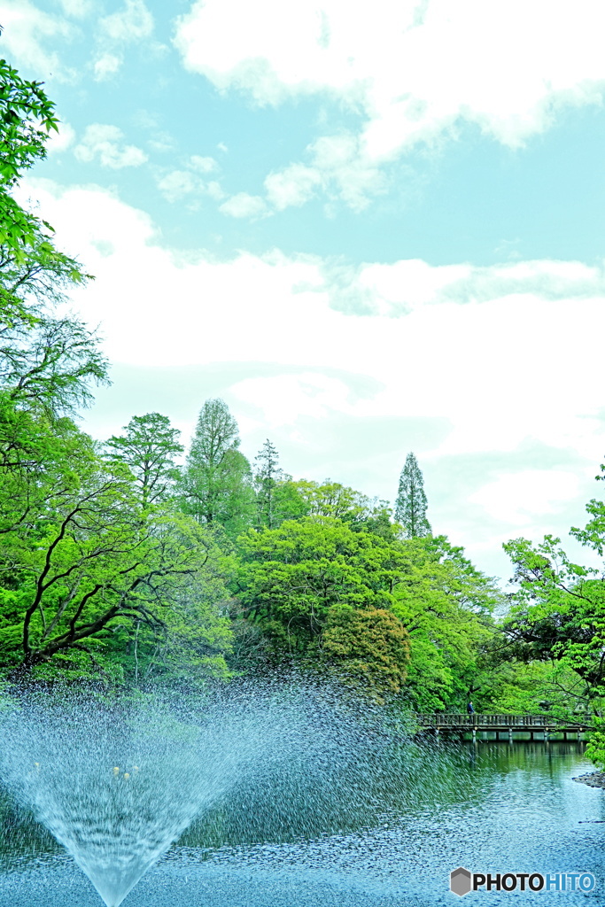 噴水と青空とトトロ