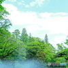 噴水と青空とトトロ