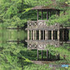 magicpicture（三宝寺池東屋）