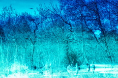 ウォーターワールド