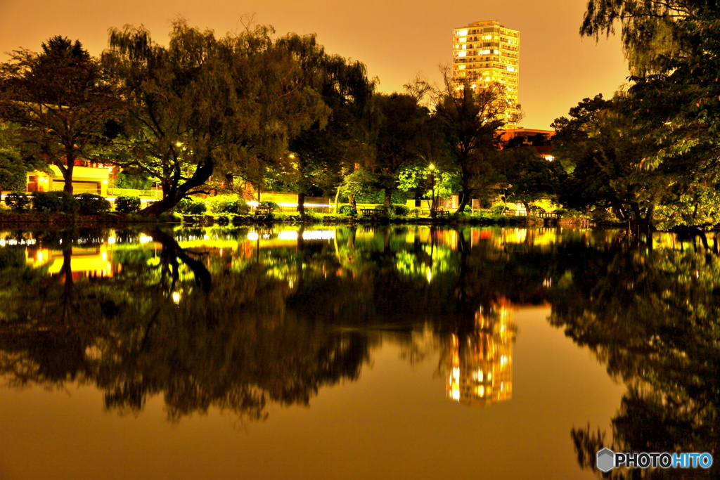 ボート池の夜