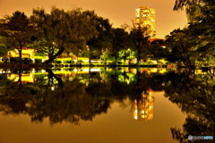 ボート池の夜