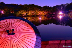 番傘と夜の池