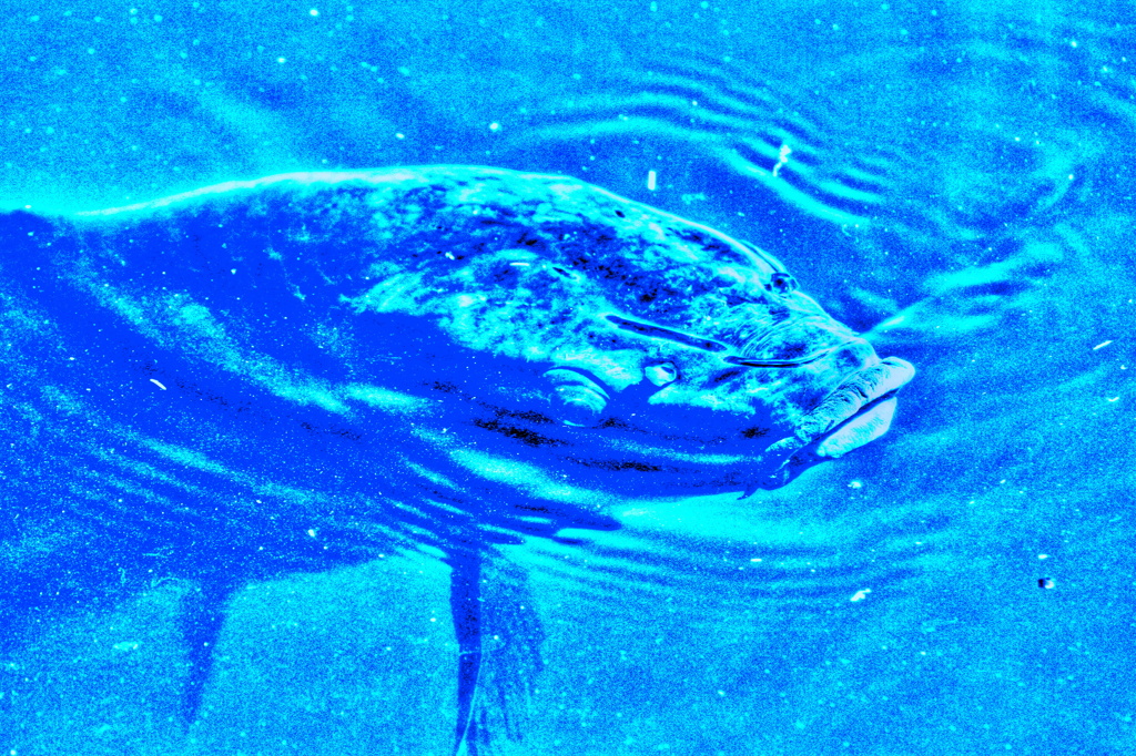 何かようか～？