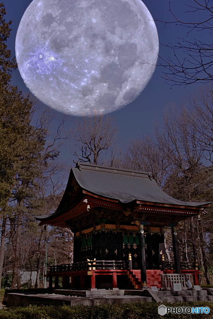 月夜に願いを