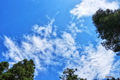 夏の青空と飛行機