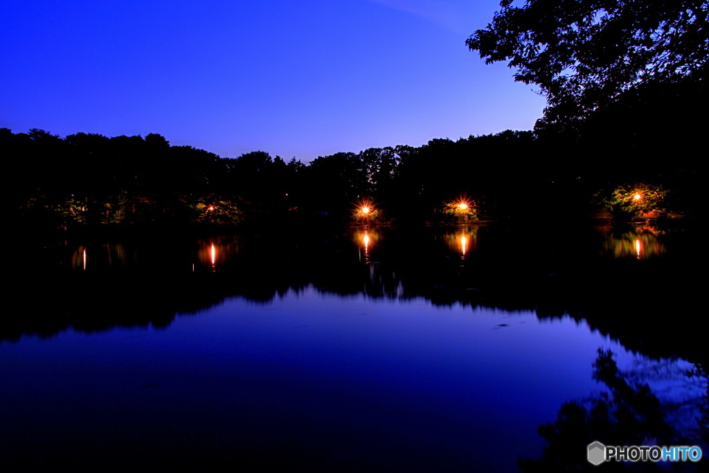 ナイトステージ