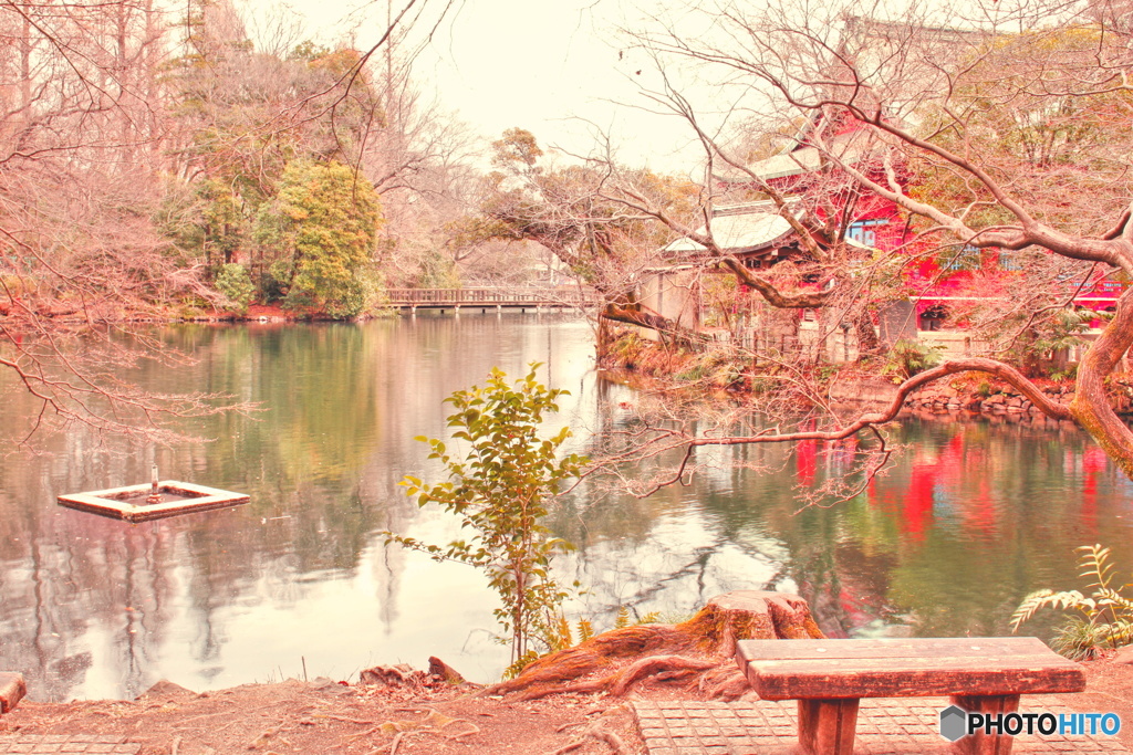 井の頭公園冬景色