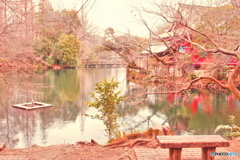 井の頭公園冬景色