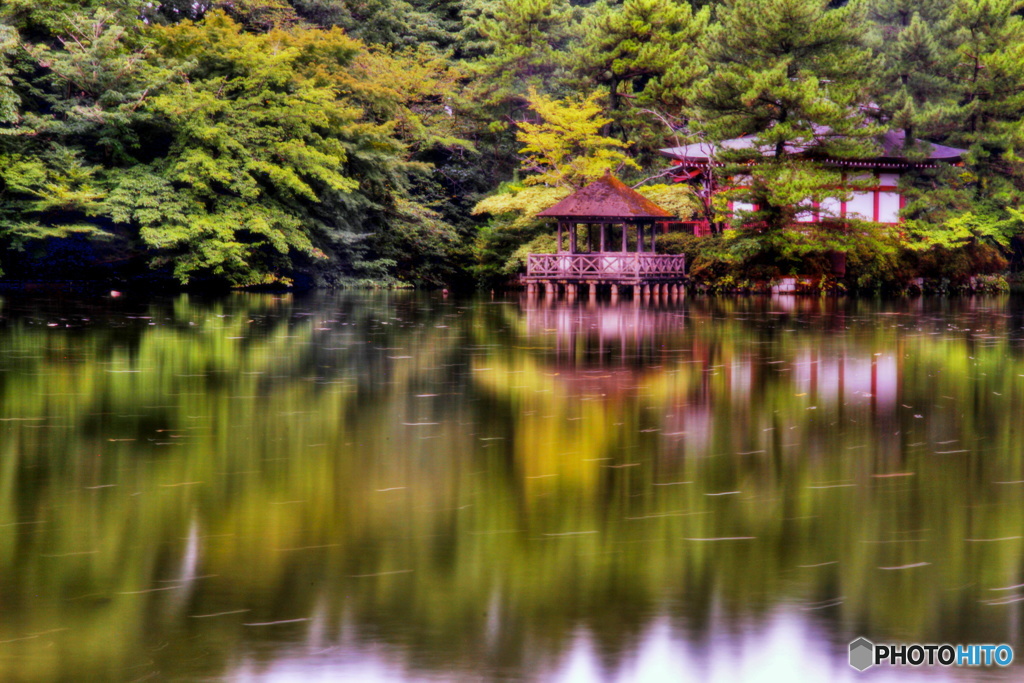 そうだ石神井公園に行こう！