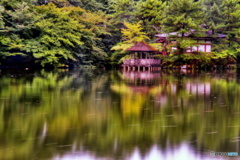 そうだ石神井公園に行こう！