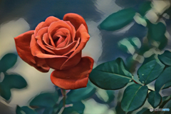 Retouch Rose