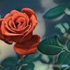 Retouch Rose