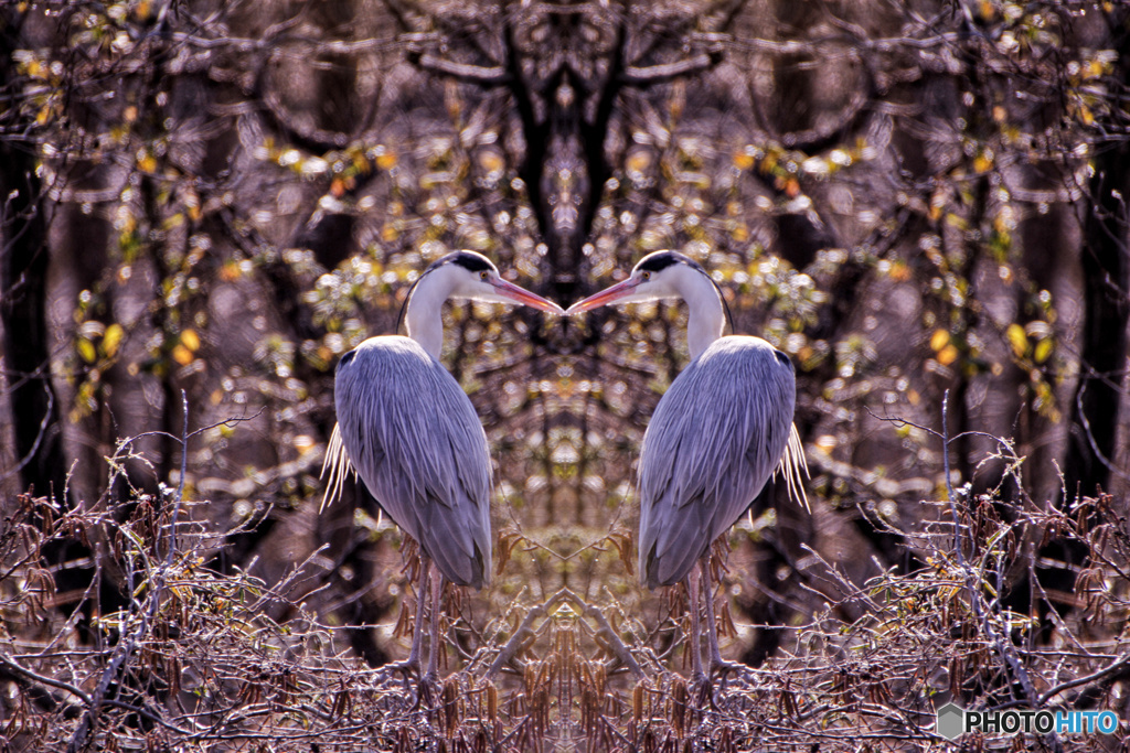 マジックピクチャー（ハートフル）