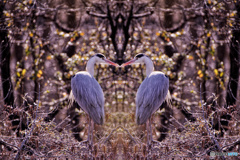 マジックピクチャー（ハートフル）