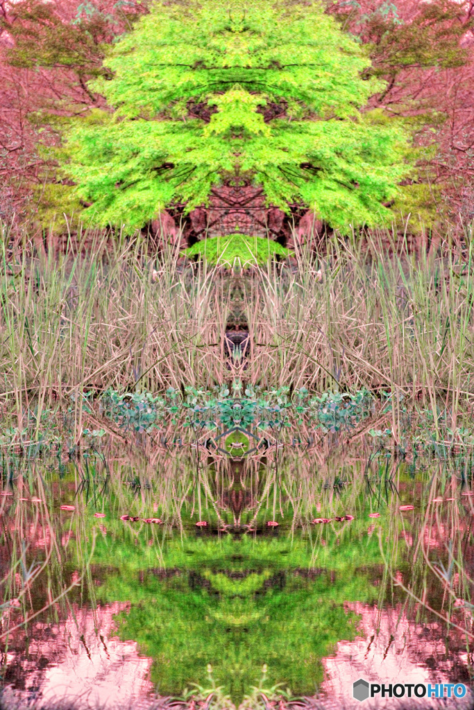 マジックピクチャー（プードル）