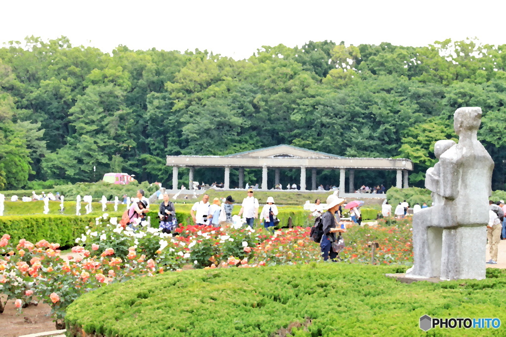 神代植物公園のバラ園（完成された春）